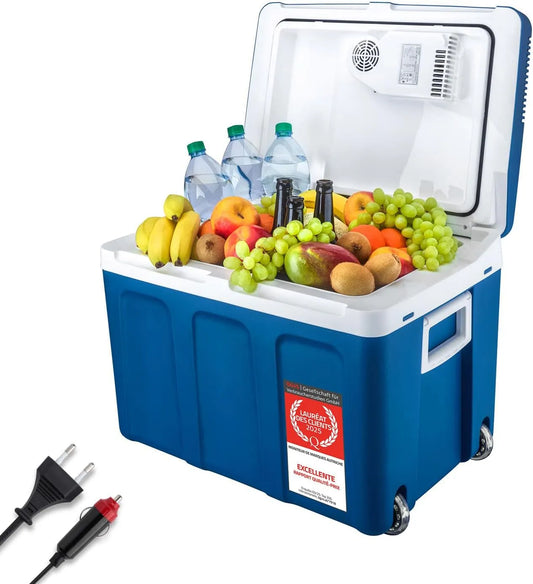 Réfrigérateur TZS First Austria, Box thermoélectrique refroidit & chauffe, Pour camping, voyages, Glacière monté sur roues, festival, Bleu